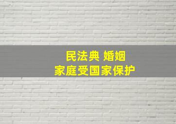 民法典 婚姻家庭受国家保护